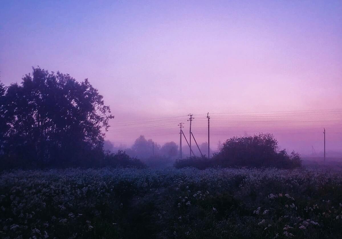 开云体育官方网：从入口到体验的全方位解读